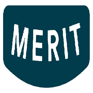 Merit Auto Spa Detailing Services