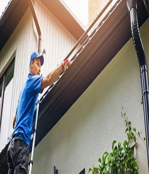 Clean Windows and Pressure Washing Services