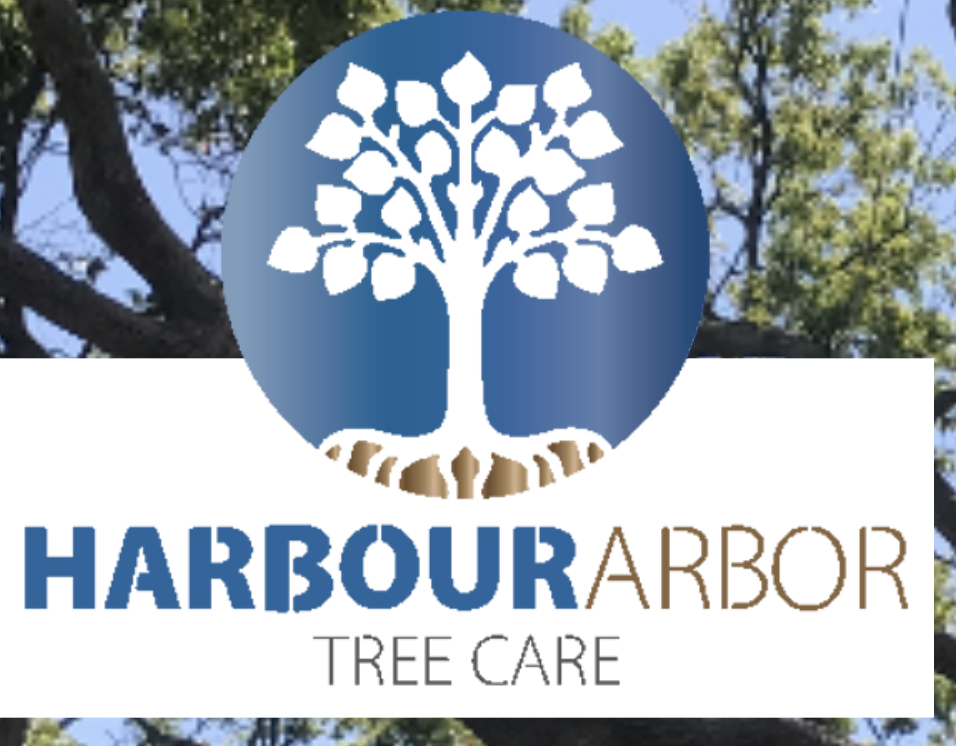 Harbour Arbor Tree Care