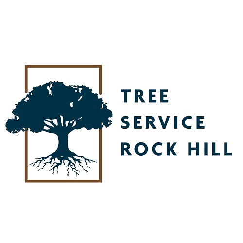 Tree Service Rock Hill