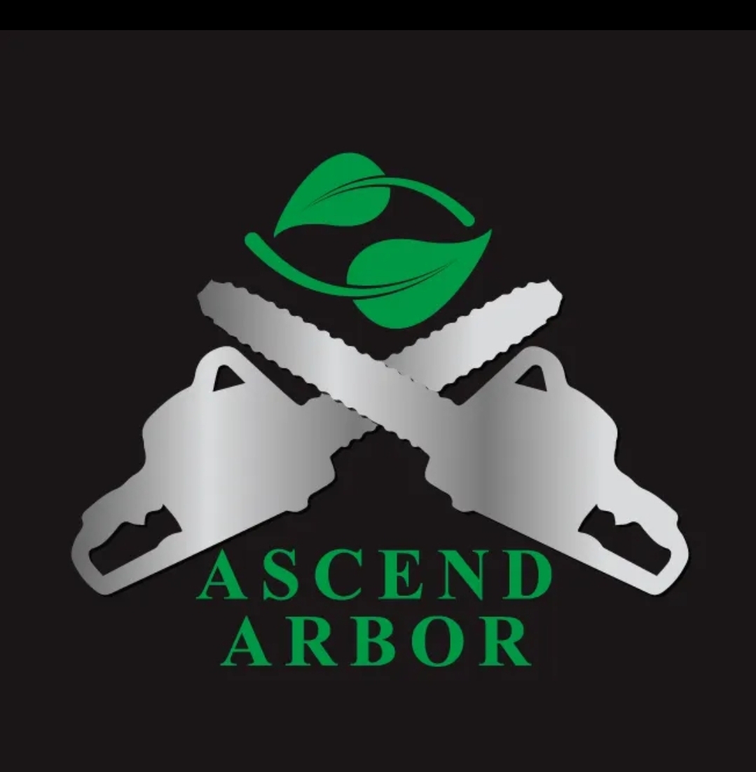 Ascend Arbor