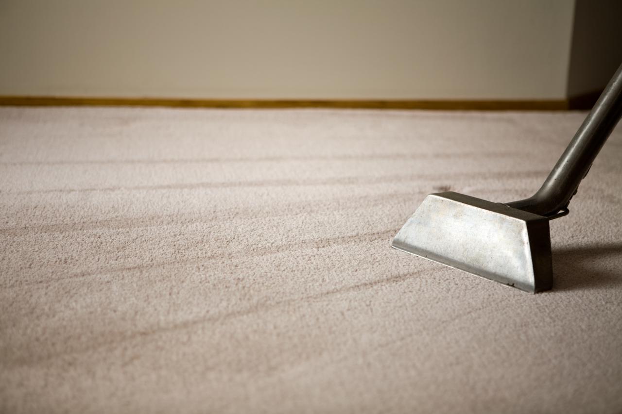 Carpet Cleaning Wellington Point