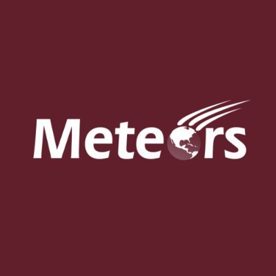 Meteors Immigration Consultancy Services