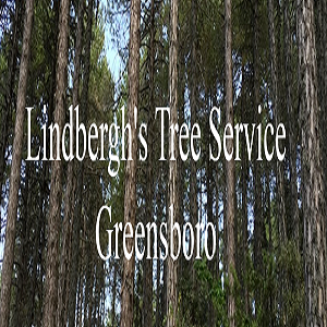 Lindbergh's Tree Service Greensboro
