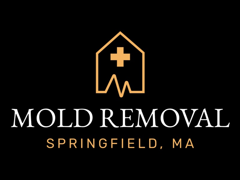 Springfield Mold Removal