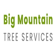 Big Mountain Tree Service