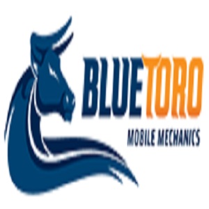 Blue Toro Mobile Mechanics