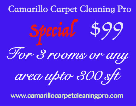 Camarillo Carpet Cleaning Pro