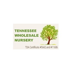 Tennessee Wholesale Nursery (TN Nursery)