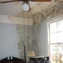 Long Island Water Damage Removal