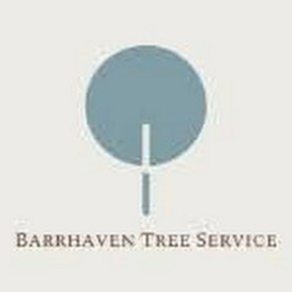 Barrhaven Tree Service