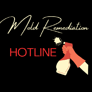 Mold Remediation Hotline Garland TX