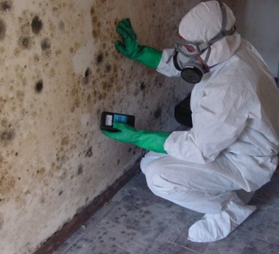 Dr. Mold Removal & Water damage