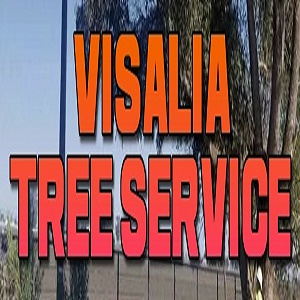 VTS Tree Service