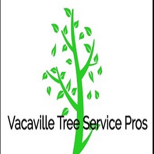 Vacaville Tree Service Pros
