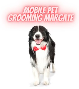 Mobile Pet Grooming Margate
