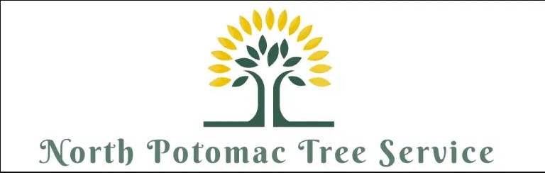 North Potomac Tree Service