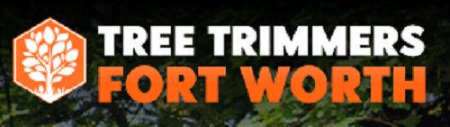 Tree Trimmers Fort Worth