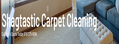 Shagtastic Carpet Cleaning