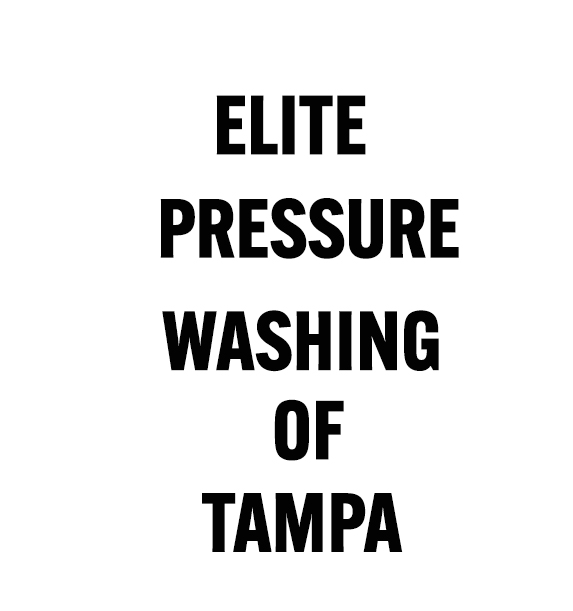 Elite Pressure Washing of Tampa