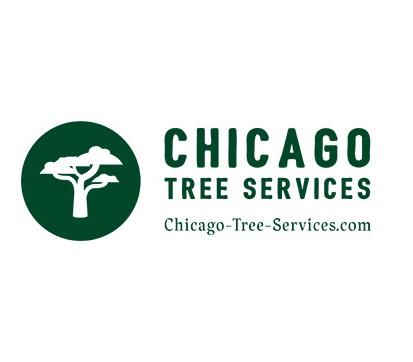 Stockton Tree Services