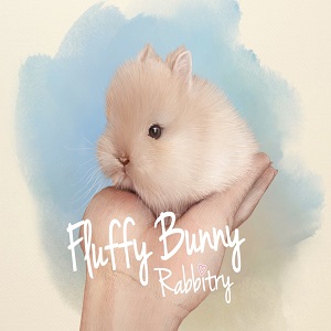 Fluffy Bunny Rabbitry | Netherland Dwarf Bunny For Sale