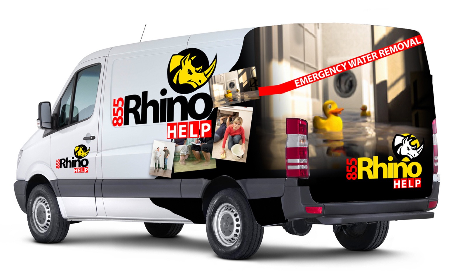 Rhino Restoration