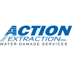 Action Extraction Inc