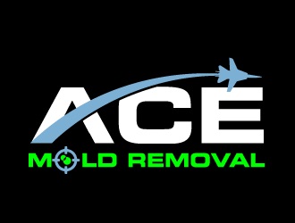 Black Mold Removal Co