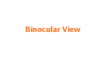 Binocular View