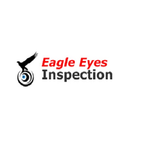 Sample pre-shipment inspection report for China