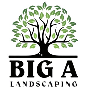 Big A Landscaping