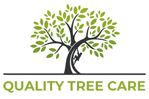 Quality Tree Service Fresno