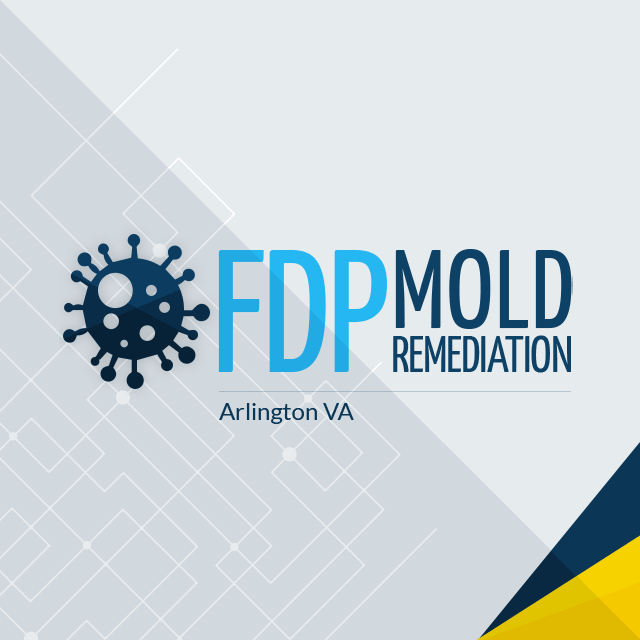 FDP Mold Remediation of Arlington