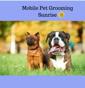 Mobile Pet Grooming Sunrise 