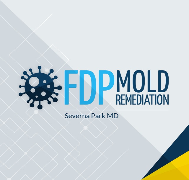 FDP Mold Remediation of Severna Park