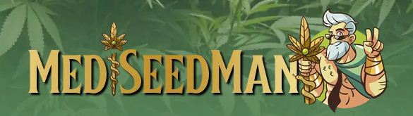 cannabis seeds