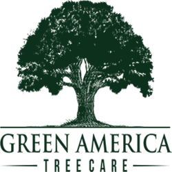 Green America Tree Care