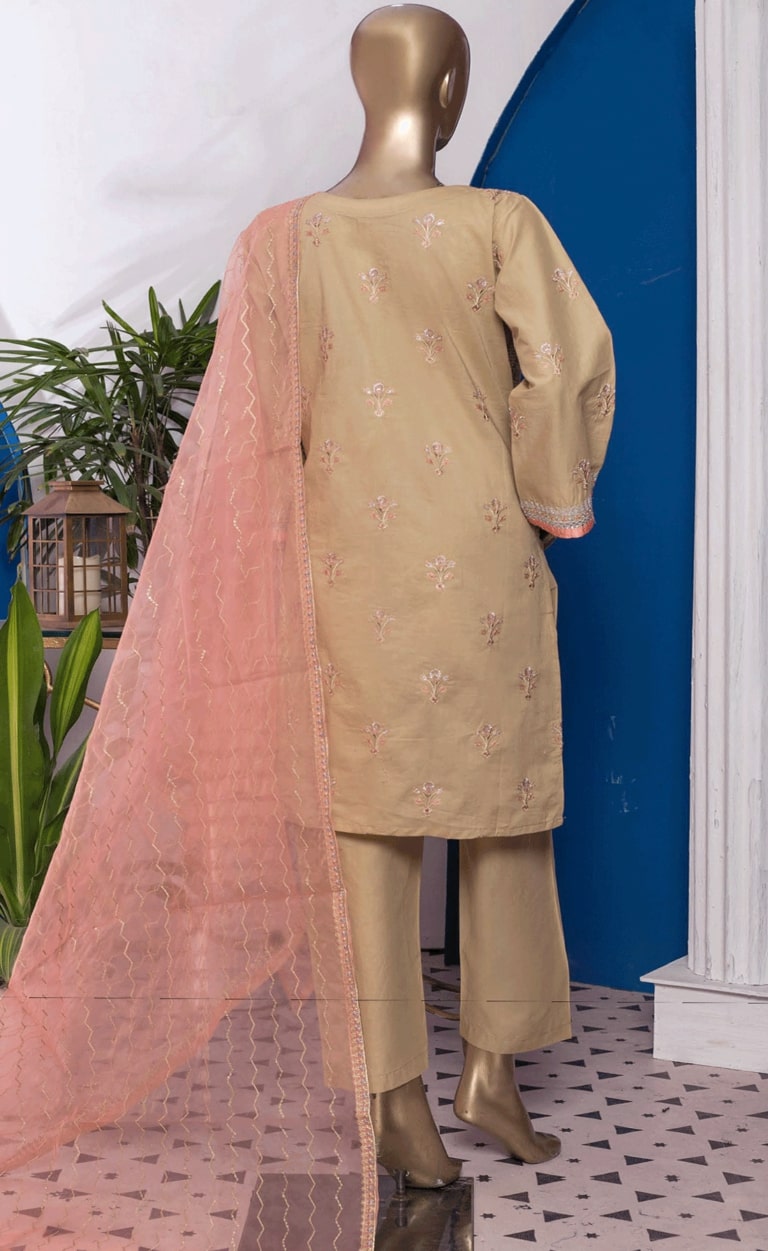 Pakistani Dress | Pakistani Clothing