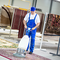 Professional Carpet Cleaning Geelong