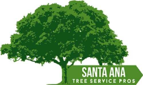 Santa Ana Tree Service Pros