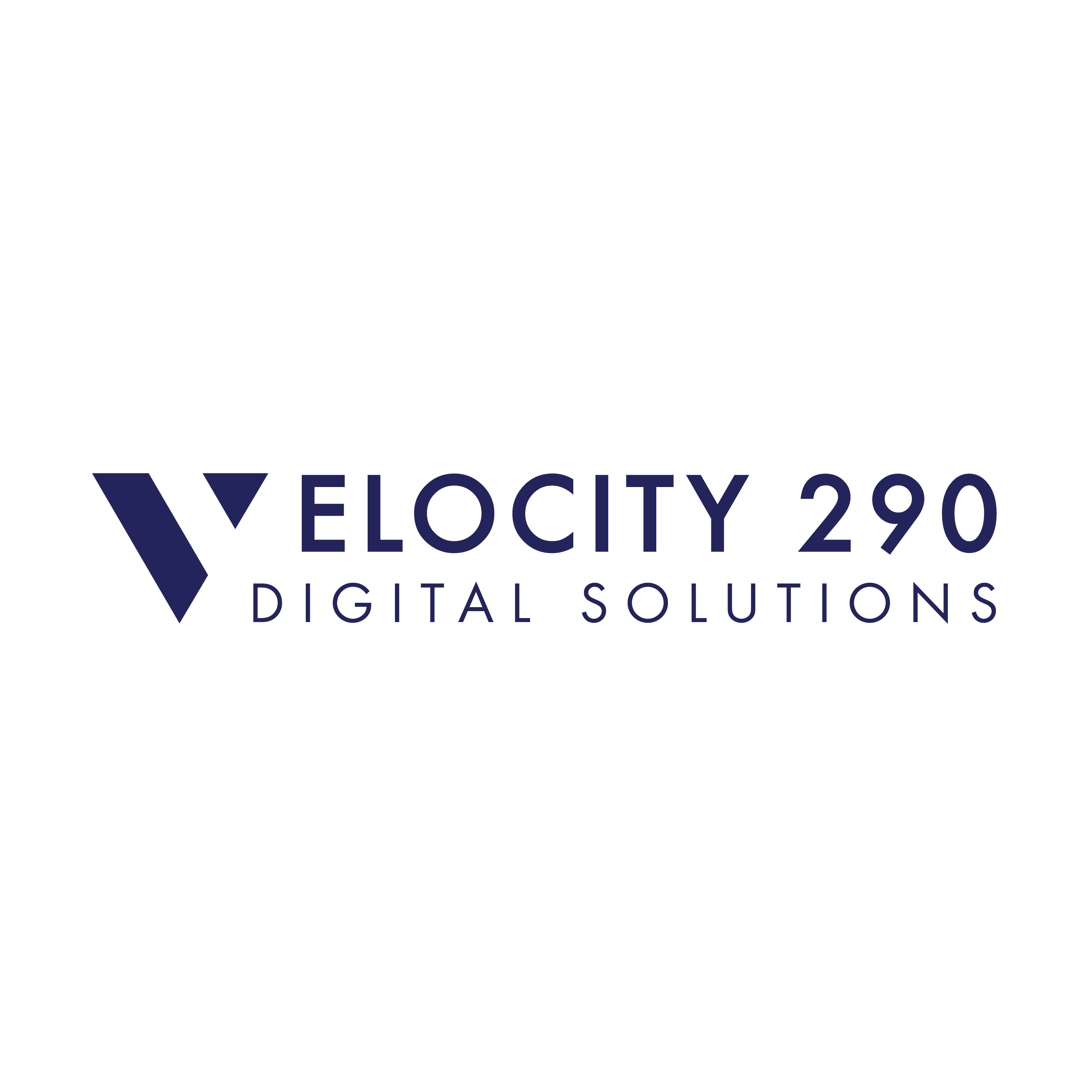 Velocity 290 Digital Solutions