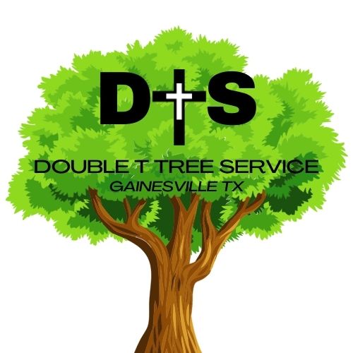 Double T Tree Service